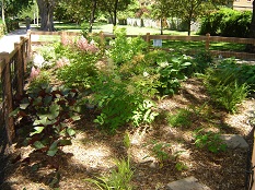 Triangle Garden
